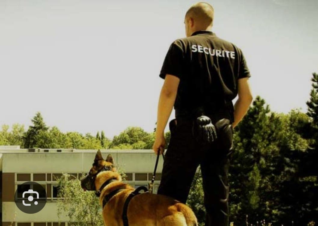 Agent cynophile et chien de sécurité en ronde sur site, Bordeaux et Gironde